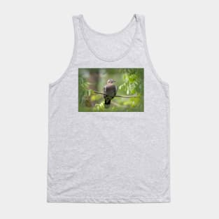 Daydreaming White-winged Dove Tank Top